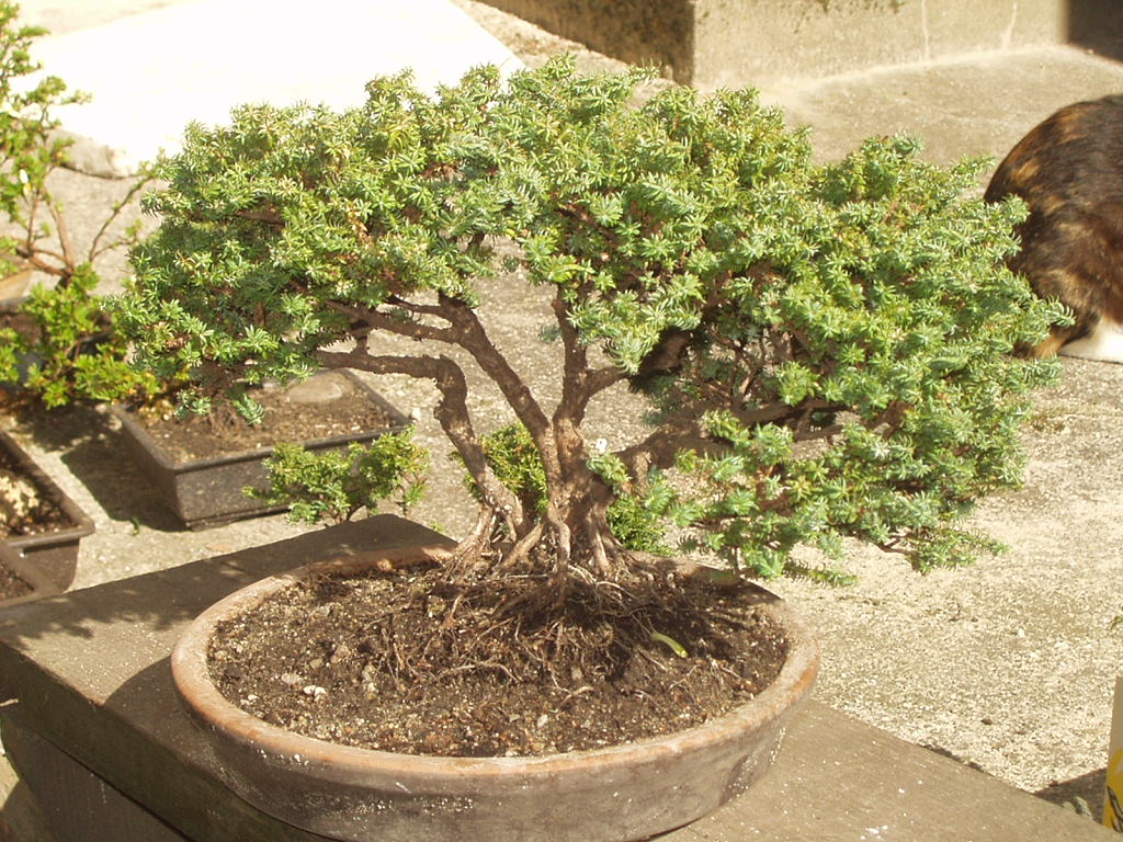 P1010116.JPG